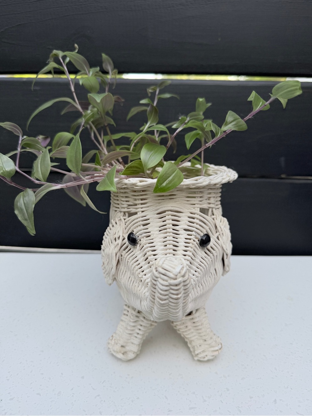 Vintage Handwoven White Elephant Planter Basket - wicker basket 8”x7” tall
